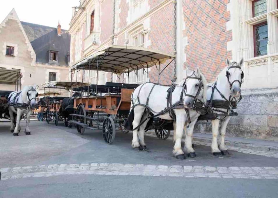 Petite Maison Avec Clim Blois Eksteriør bilde