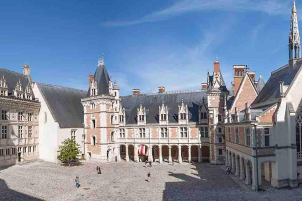 Petite Maison Avec Clim Blois Eksteriør bilde